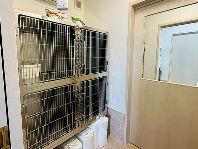 猫用入院室